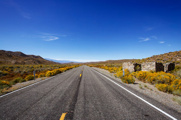 The Highway Passing Palmetto, Nevada, an abandoned mining settlement