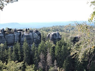 Felsen im Wald