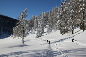 Fototapeta na wymiar Skitourengeher in Winterlandschaft