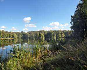 volkspark jungfernheide