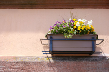 White, yellow, lilac flowers in a flowerpot hang on a beige wall. Flowers in a flowerpot on the wall. Mediterranean style