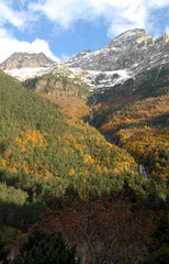 Fototapeta premium Ordesa en otoño