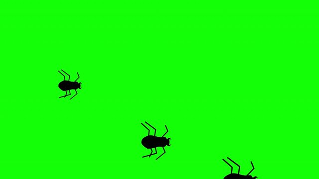 Colony of Large Creepy Flat Style Halloween Spiders running against a green background. 4k