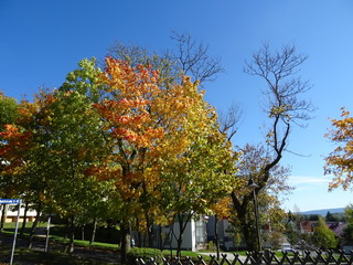 Ilmenau im Oktober