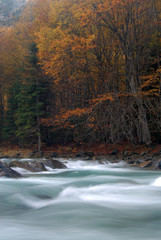 Ordesa en otoño