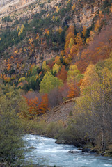 Ordesa en otoño