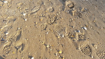 sand beach