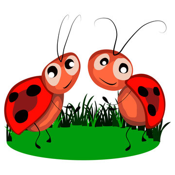 picture in cartoon style, image of ladybirds