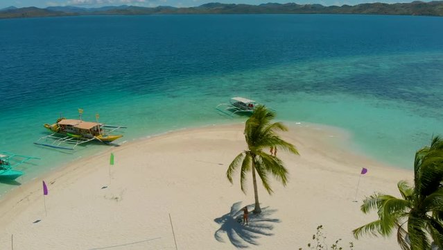 Tropical island surrounded by palm trees and white sand in Coron Palawan, Philippines
