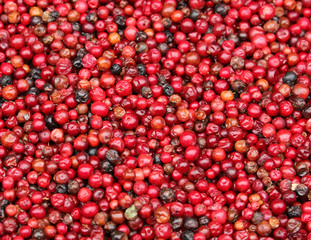 fresh cranberries on a market.