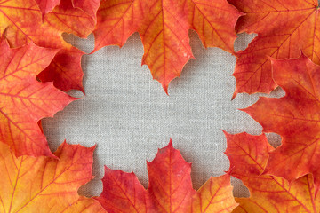 Border of orange and yellow maple leaves on tan linen, as a fall nature background