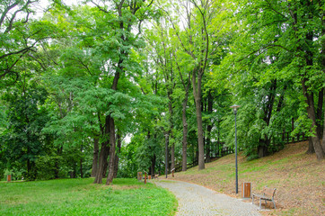 path in the park