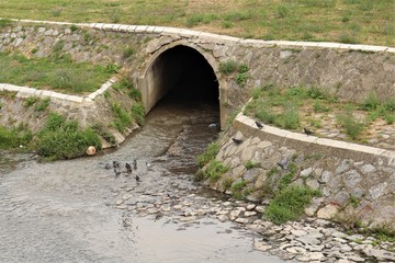 a tunnel through which a river flows, birds