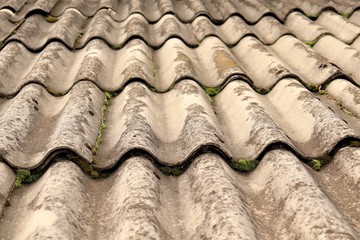 ceramic tile for the roof through which green moss grew