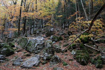 Ordesa en otoño. Pirieo Aragonés. España