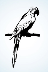 Parrot bird icon. Vector drawing
