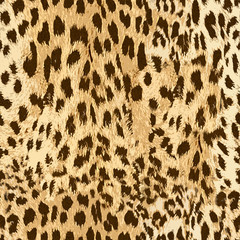 leopard skin fur seamless pattern texture design