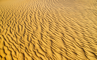 Gold desert into the sunset. Sand texture.