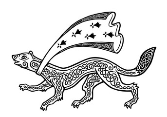 Vector stylized running ermine with black Celtic ornament and breton mantle, blazonry illustration isolated on white background