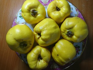 apples and quince on the table