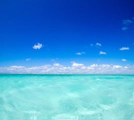 Fototapeta na wymiar tropical sea under the blue sky. Sea landscape.
