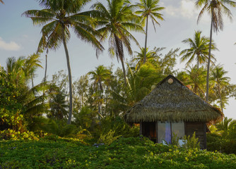 A bungalow with a thatched roof sits among palm trees and tropical vegeatation on an island in French Polynesia