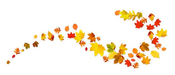 Goldener Herbst