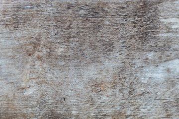 Old Weathered Wood Texture