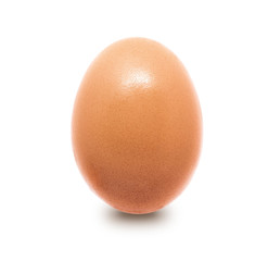 close-up egg chicken isolated on white background