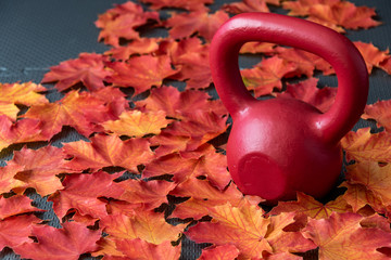 Red iron kettlebell on a black rubber gym floor, with orange and yellow maple leaves, fall fitness