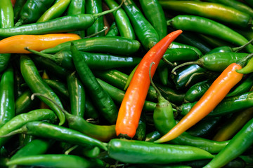 Fresh Green Hot Peppers, Background