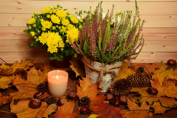 Wrzos chryzantema paląca się świeczka na liściach z syszkami - jesień