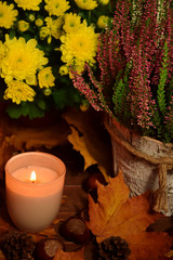Wrzos chryzantema paląca się świeczka na liściach - jesień - obrazy, fototapety, plakaty