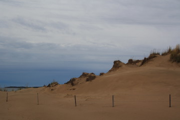 Сoast of the north sea