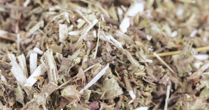 Motherwort grass in bulk