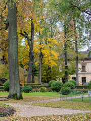 beautiful picture with colorful trees in autumn park
