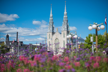 cathédrale Notre-Dame d'Ottawa