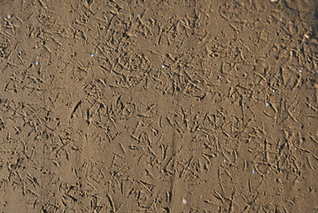 Sfondo marino e background di sabbia