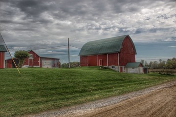 0681 - Elmwood Road Reds (0681-BAR-10119-1050A)