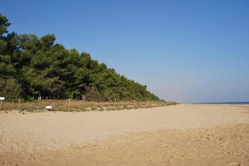 Pineto e la Torre del Cerrano