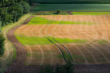 un champ avec les traces de tracteurs après moisson