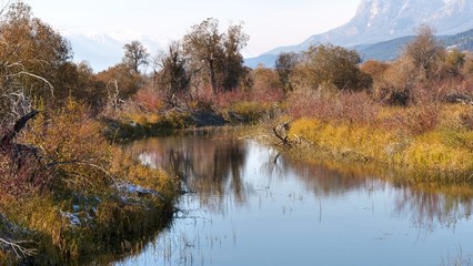 Autumn Wetland