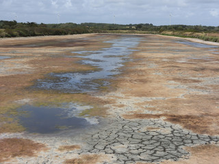 sécheresse