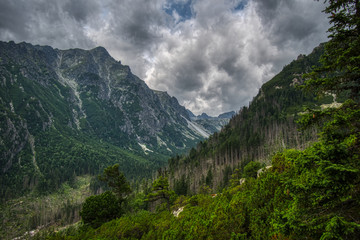 Obraz premium view of mountains