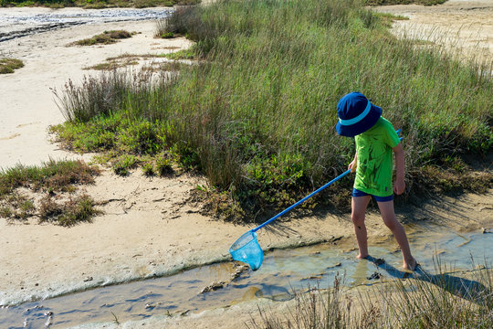 5 years old boy exploring the beach at low tide walking along a small creek flowing towards the sea - Soline, Krk, Croatia