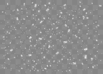 Snowflakes, snow background. Christmas snow for the new year. Vector illustration.