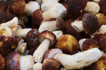 Mushrooms with brown hats and white legs in crates in the market.Boletus.