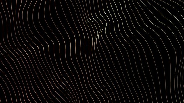 Abstract 4k. Motion graphic. Dynamic backdrop. Gold color. Wavy lines animated background. Luxury minimalism waves. 3840x2160p