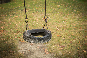 Car tire used as a swing on a tree in the garden
