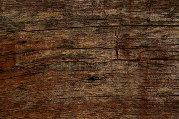 Fototapeta premium The texture of the old wood. The texture of the damaged tree.